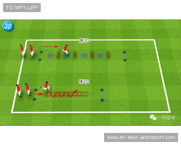 足球运动员的训练周期与体能周期